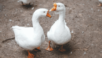 blog zdjęcia (1)